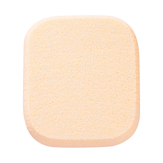 Makeup Sponge N
