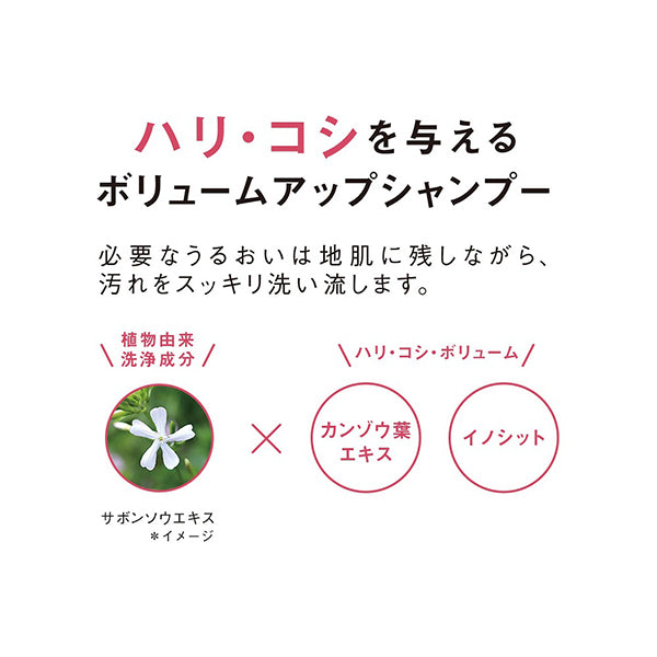 ORBIS Scalp Refining Shampoo, 250ml, Fragrance-free