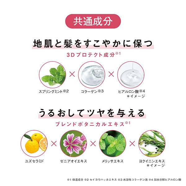 ORBIS Scalp Refining Shampoo, 250ml, Fragrance-free