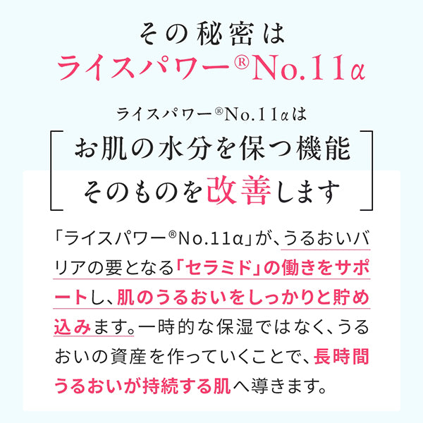 Premium Perfect Cream, 30g