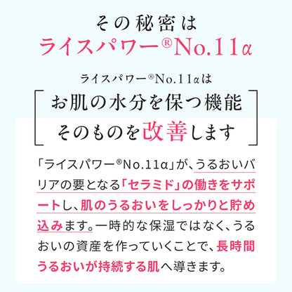 Premium Perfect Cream, 30g