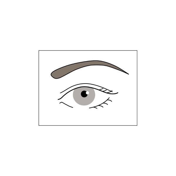Chacott COSMETICS Eyebrow Pencil (55)