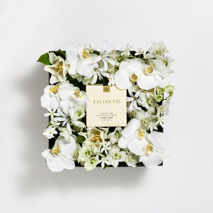 Perfect Fitting Full Coverage Cushion Foundation, SPF50+, PA+++, Shampoo, No. 21 Rosy Ivory, 13g