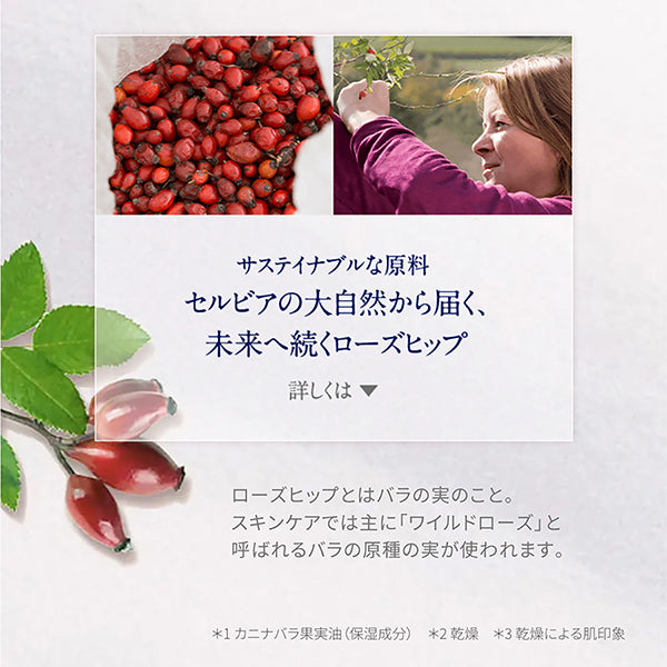 Neal's Yard Remedies Wild Rose Beauty Balm (without cloth), 50g