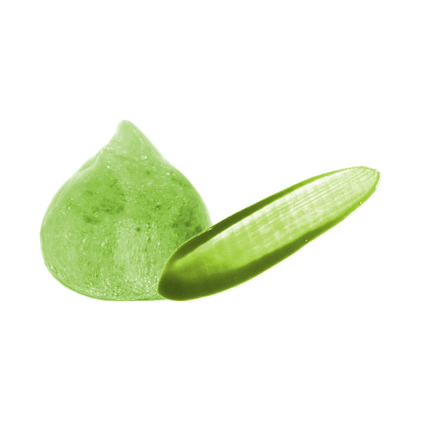 Color Shampoo, #05 Matte, 185ml