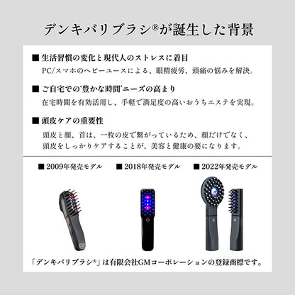 ELECTRON Denki Bari Brush 2.0 (Face Attachment Set)