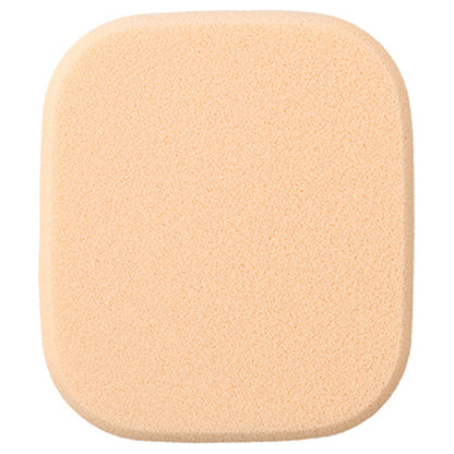 IPSA Powder Foundation e, Case