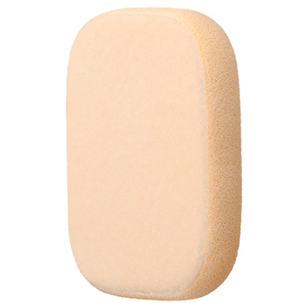 IPSA Powder Foundation e Case