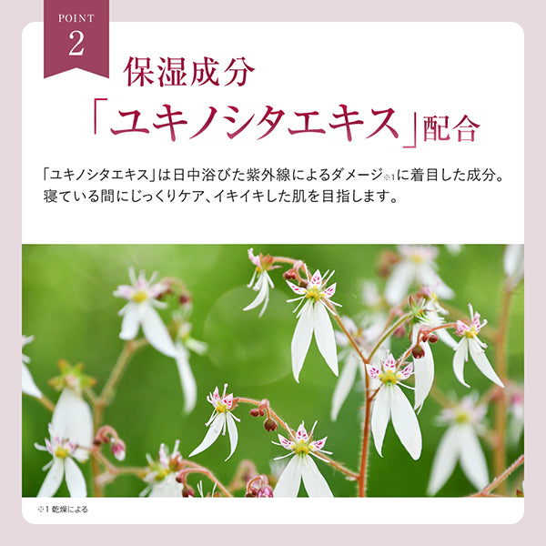 Overnight Veil Cream, 30g