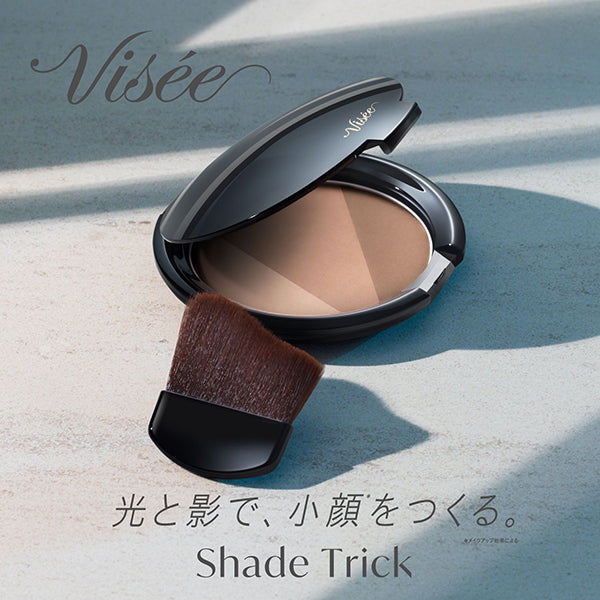 VISEE Shade Trick (BR300 Medium Brown)