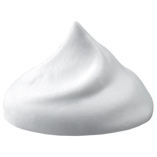 shu uemura Botanic Gentle Foam, 125ml