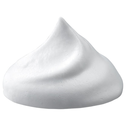 shu uemura Botanic Gentle Foam, 125ml