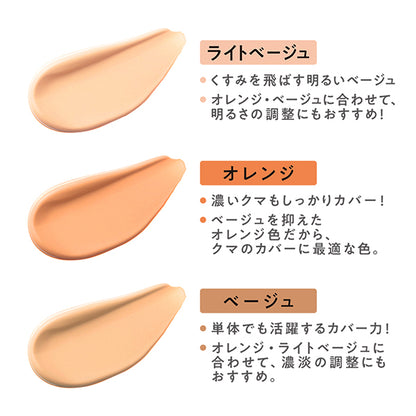 CEZANNE Palette Concealer High Coverage, 4.5g