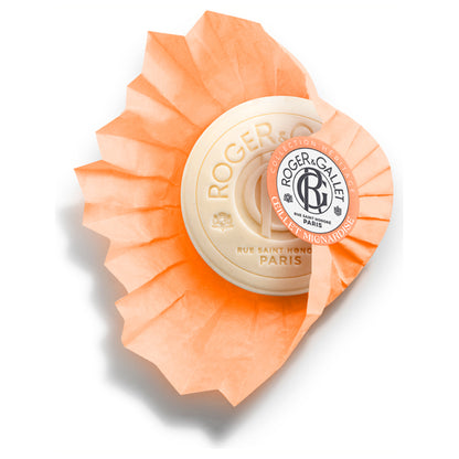Roger & Gallet Savon (Oeillet), 100g