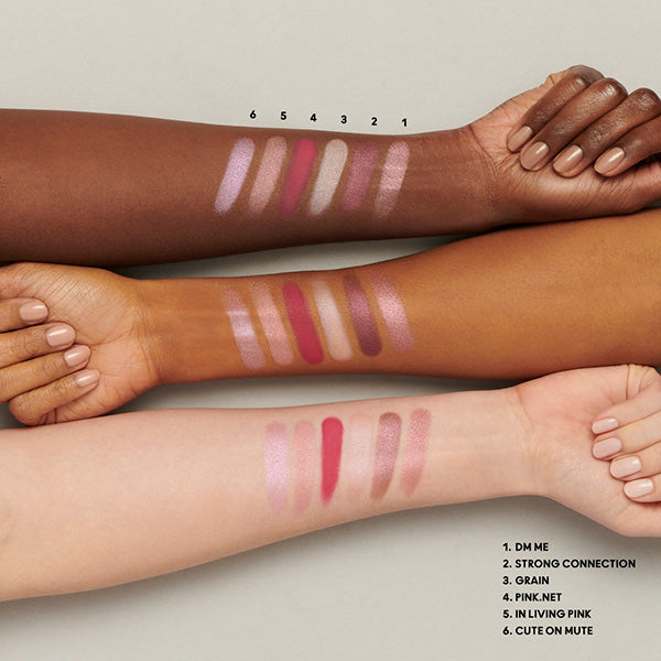 M.A.C Connect in Color Eyeshadow Palette x 6 (Rose Lens)