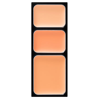 ETVOS Mineral Concealer Palette, SPF36 PA+++, Pink Beige, 3.1g