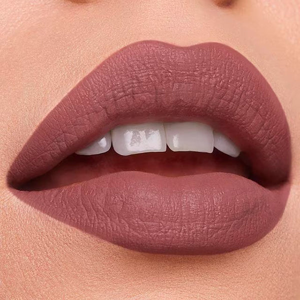 Estée Lauder Pure Color Matte Lipstick (868 Influential)