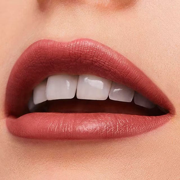 Estée Lauder Pure Color Lipstick Cream (410 Dynamic)