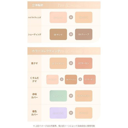 dasique Pro Concealer Palette, 01COVER, 9g