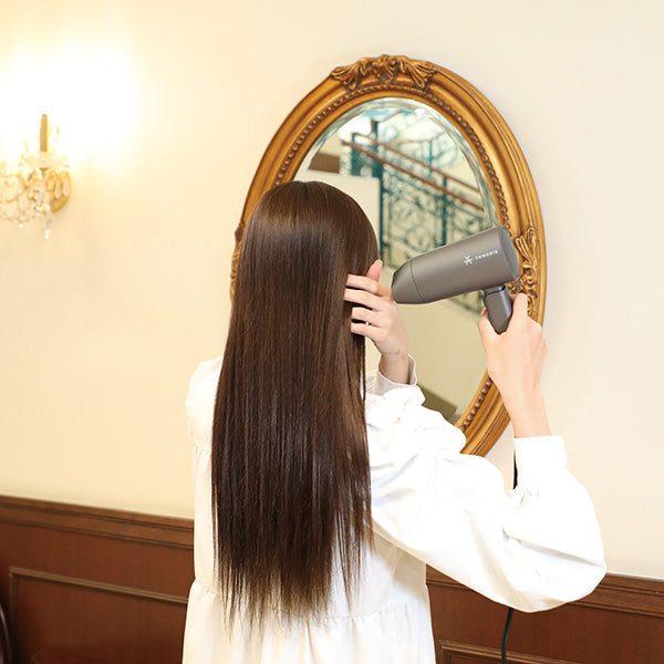 VENUSiS Negative Ion Mini Dryer VDM-1100, 375g