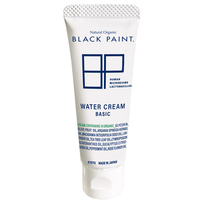 BLACK PAINT BASIC Water Cream, 25g