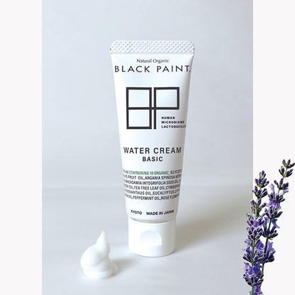 BLACK PAINT BASIC Water Cream, 25g
