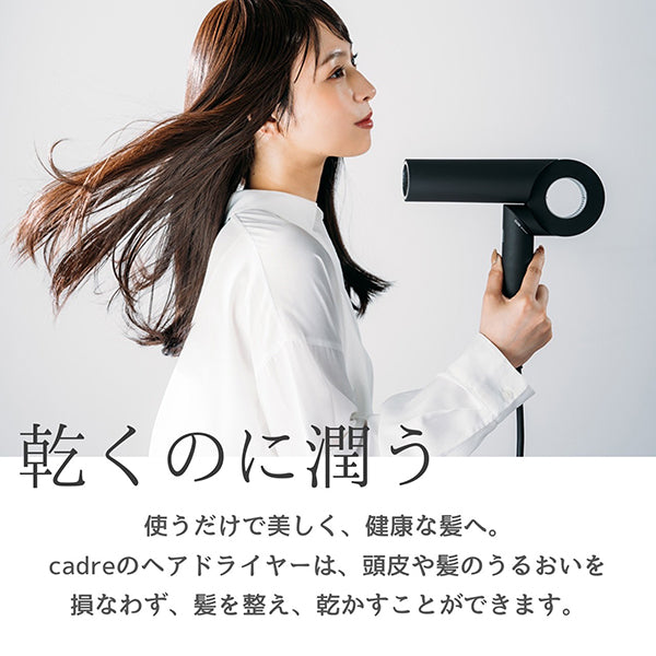 cadre Hair Dryer (Black)