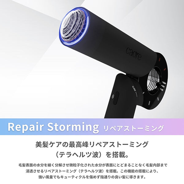 Cadre Hair Dryer (Black)