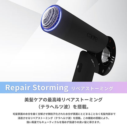 Cadre Hair Dryer (Black)