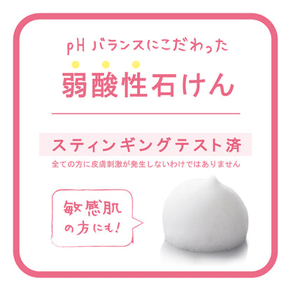 VIO CLEAN, Main unit, MINI 17g