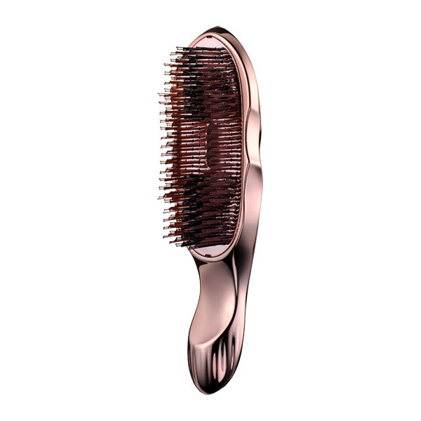ReFa Ion Care Brush Premium (110g)