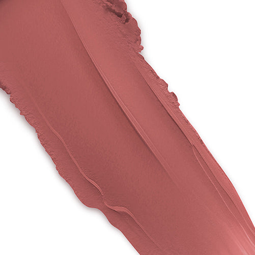 Dior Rouge Dior Lipstick (300 Nude Style Velvet)