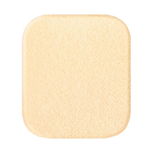 Double sponge, 1 piece