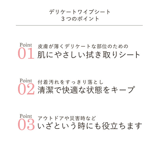 PEACH JOHN Delicate Wipe Sheet, 10 Sheets