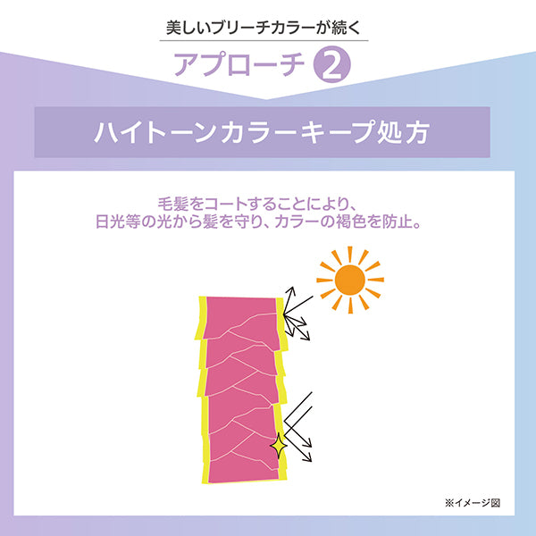 STEPHEN KNOLL Stephen Knoll Bleach Care Master Emulsion, 100ml, Herbal Fruity Floral