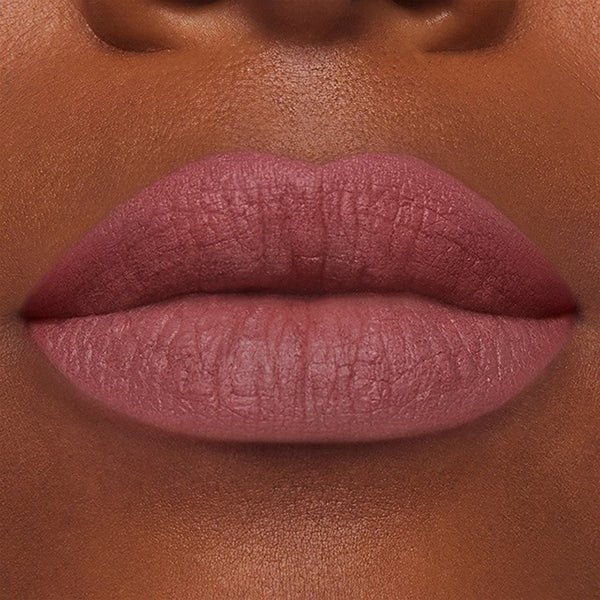 Estée Lauder Pure Color Matte Lipstick (855 Risk It All)
