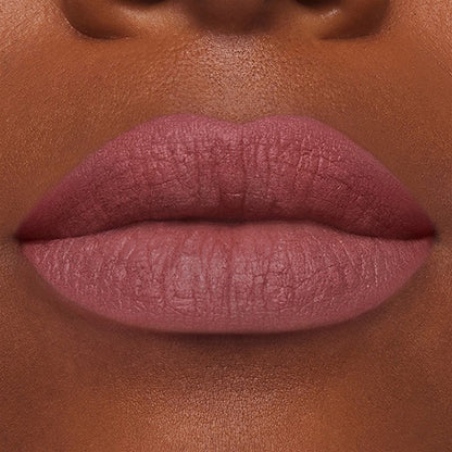 Estée Lauder Pure Color Matte Lipstick (855 Risk It All)