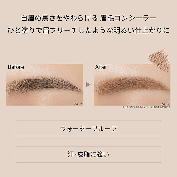 ETTUSAIS Eye Edition (brow concealer), Concealer beige, 6g, Fragrance-free