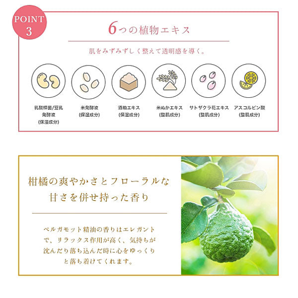 DR.MORITA 3-Type Fermented Liquid Mask (Firming & Moisturizing/Bergamot), 5 sheets