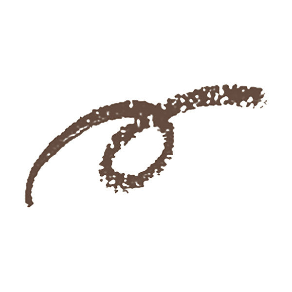 SHISEIDO Eyebrow Pencil (2)