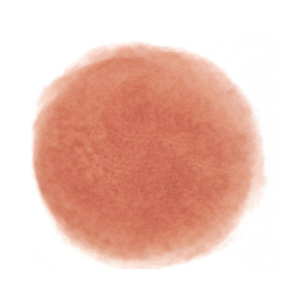 fwee Lip and Cheek Blurry Pudding Pot, ND05 Bee, 5g