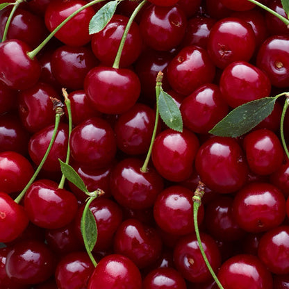 OYESS Lip Balm Cherry, 4.8g