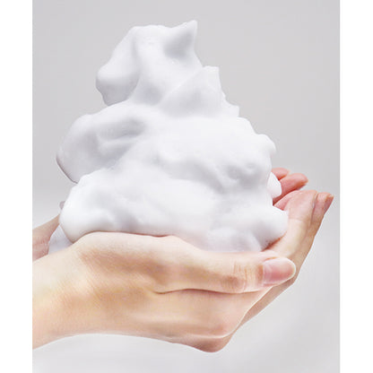 Sekai no Kajitsu Refreshing Foaming Face Wash, 500ml