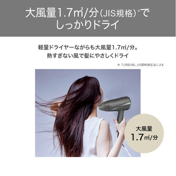 TESCOM Protect Ion Hair Dryer TD360A-H (Gray)