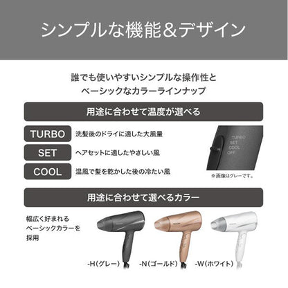 TESCOM Protect Ion Hair Dryer TD360A-N (Gold)