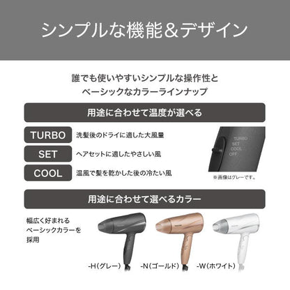 TESCOM Protect Ion Hair Dryer TD360A-W (White)