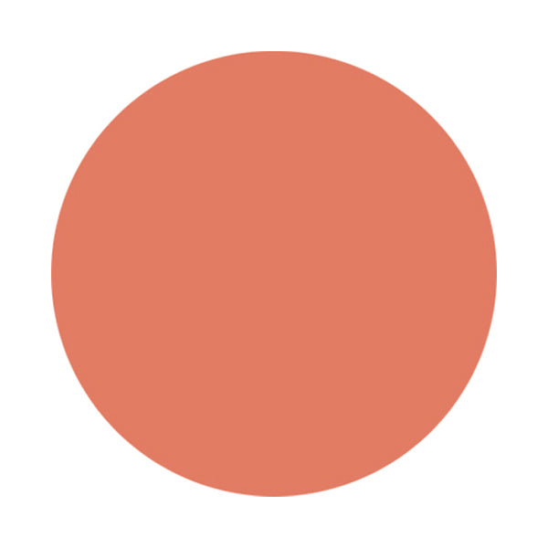 AQUA AQUA Organic Cream Cheek (01 Healthy Apricot), 3g