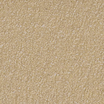 AQUA AQUA Organic Duo Shadow (03 Sheer Olive), 2.4g
