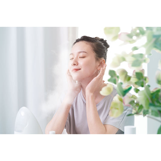 FESTINO Facial Aroma Nano Steamer (Sand Beige)