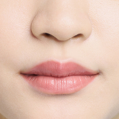DIDION PLUMPING LIPSTICK (03 Dusty Spring), 3.5g